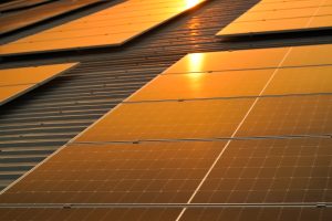 Afternoon shot of Solar Panels on a roof with golden glimmer of sun.